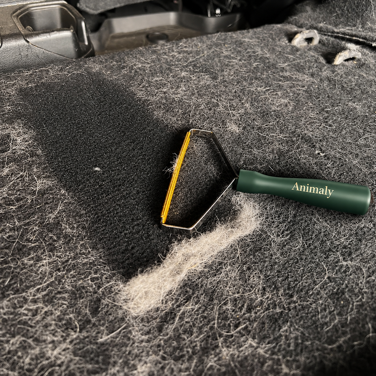 Cleaner Pro