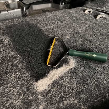 Cleaner Pro